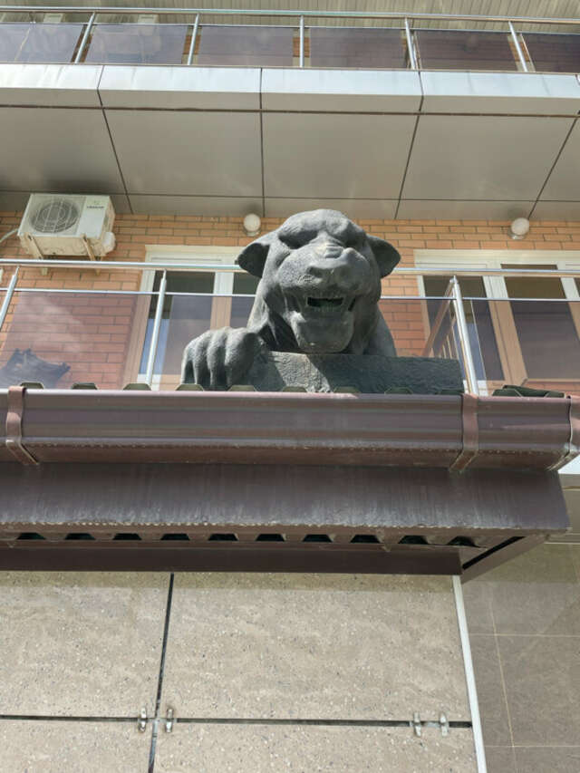 Гостиница Лотос Анапа-49